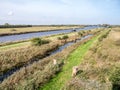 Boat cruising Hooidamsloot to Earnewald in nature reserve Alde Feanen, Friesland, Netherlands Royalty Free Stock Photo