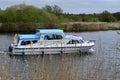 Boat Cruising on River Yare, Norfolk Broads, Surlingham, Norfolk, England, UK