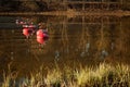 Boat dock made of metal and red floating buoys in water. Lake or river with a park or forest in the background, a lot of bare Royalty Free Stock Photo