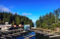 Boat dock at Telegraph Cove, Vancouver Island, BC