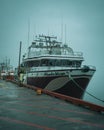 Boat docked at the harbor on a foggy night, St. Johns, Newfoundland and Labrador, Canada