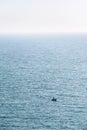 Boat in English channel near Cap Gris-Nez, France Royalty Free Stock Photo