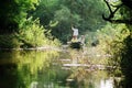 Boat excursion in the lake, Keoladeo sanctuary, Bharatpur, Rajasthan, India