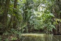 Boat expedition in the jungle at Tortugenero Royalty Free Stock Photo