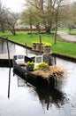 Boat with flowers