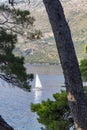 Boat framed by trees Royalty Free Stock Photo