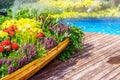 A boat full of flowers Royalty Free Stock Photo