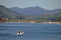 boat heading for Picton Harbour