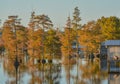 A Boat House among Bald Cypress Trees along the shoreline of Lake D``Arbonne. In Farmerville, Union Parish, Louisiana