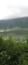 boat, lake, clouds, water, drizzle, hills, plants, trees, gardens, fog