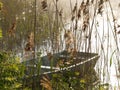 Boat on the lake in a misty morning