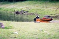 boat on the lake, lake and mountains in summer. forest on background Royalty Free Stock Photo