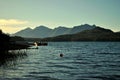 Boat in the lake