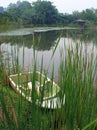 Boat by lake & reeds Royalty Free Stock Photo
