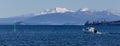 Blue Lake Taupo panorama, boat and volcanoe Royalty Free Stock Photo