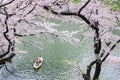 Boat on a lake under beautiful cherry blossom Royalty Free Stock Photo