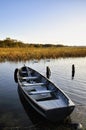 Boat On Lough Ennell