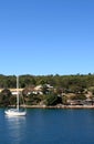 Boat in manly 02 Royalty Free Stock Photo