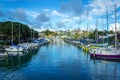 Boat Marina Milford Beach Auckland New Zealand; during Sunny Day