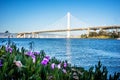 Boat marina near new oakland bay bridge leading to oakland calif Royalty Free Stock Photo