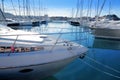 Boat mediterranean marina in Denia Alicante Spain