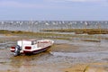Boat and oyster bed of LÃÂ¨ge-Cap-Ferret