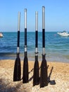 Boat paddles on a beach