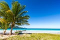 Boat by palm tree on one of the most beautiful tropical beaches in Caribbean, Playa Rincon Royalty Free Stock Photo