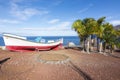 A boat and palm trees near Los Gigantes, Tenerife, Canary islands, Spain Royalty Free Stock Photo