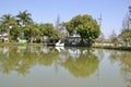 Boat pedal. Toy swan shaped pedal boat toy in a freshwater lagoon for rent at an ecotourism farm in Brazil, South America Royalty Free Stock Photo