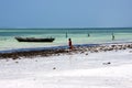 boat people seaweed the blue lagoon relax of zanzibar africa