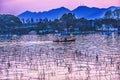 Boat Pink Reflection Sunset West Lake Reflection Hangzhou Zhejiang China Royalty Free Stock Photo