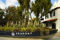 The Boat Planter at Seaport Village