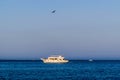 A boat in the Red Sea and a flying bird Royalty Free Stock Photo