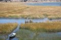 Boat in reeds of Titicaca lake, Copacabana, Bolivia