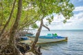 Boat resting mangrove beach sea fishing tropical Tobago relaxing view