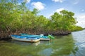 Boat resting mangrove beach sea fishing tropical Tobago relaxing view