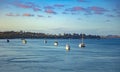 Boats resting near Houhora habour. Houhora is a locality and harbour on the east side of the Aupouri Peninsula of Northland, New Royalty Free Stock Photo