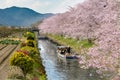 Omihachiman Moat In Spring