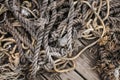 Boat Rope Textured close up. Top view of old vintage ropes on wooden background Royalty Free Stock Photo
