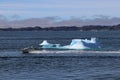 The boat rushes at high speed past an iceberg in the blue bay of Nuuk