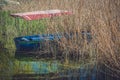 Boat among rushes on the Lake Ohrid Royalty Free Stock Photo