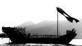 Boat sailing in Fatehsagar Lake Udaipur