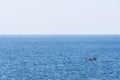 Boat sailing in the Mediterranean Sea in Catalonia, Spain Royalty Free Stock Photo