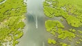 Aerial view of Mangrove forest and river. Royalty Free Stock Photo