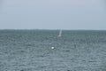 boat sails on the sea. Vacation at sea.North Sea. Royalty Free Stock Photo