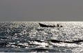 Boat on sea during sunset, Puerto Escondido Royalty Free Stock Photo