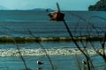 Boat on the seat and seagulls on the beach