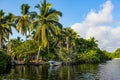 Boat on the shore of a mangrove. Royalty Free Stock Photo
