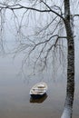 Boat at the shore Royalty Free Stock Photo